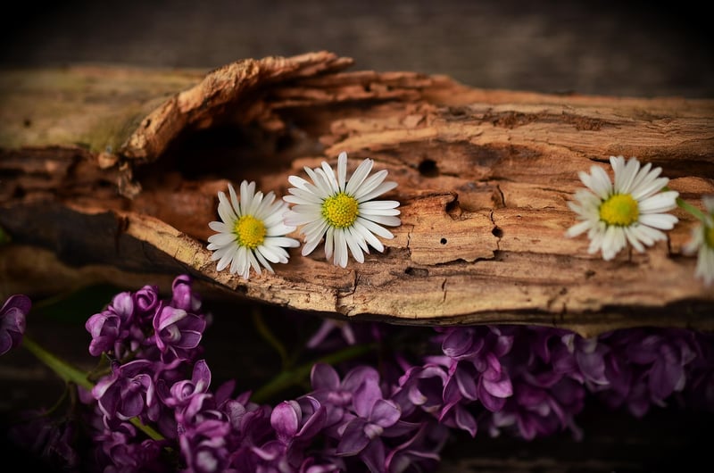 Upcycled wood crafts